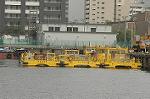 Dcim4696/DSC_2488