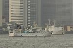 Dcim4697/DSC_2647
