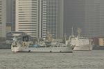 Dcim4697/DSC_2648