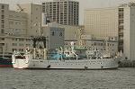 Dcim4698/DSC_2664
