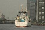 Dcim4698/DSC_2672