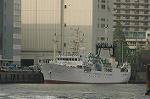 Dcim4698/DSC_2705