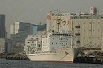 Dcim4698/DSC_2782