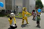 Dcim4703/DSC_3010