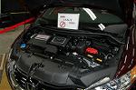 Dcim4705/DSC_3259