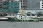 Dcim4707/DSC_3461