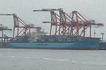Dcim4707/DSC_3497