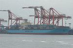 Dcim4707/DSC_3498