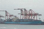 Dcim4707/DSC_3500