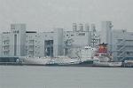 Dcim4707/DSC_3542