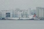 Dcim4707/DSC_3557