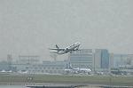Dcim4708/DSC_3594