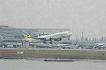 Dcim4708/DSC_3613