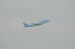 Dcim4708/DSC_3667