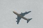 Dcim4709/DSC_3736