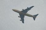 Dcim4709/DSC_3737