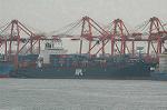 Dcim4709/DSC_3793