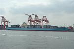 Dcim4711/DSC_3112