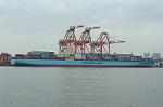 Dcim4711/DSC_3118