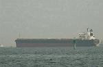 Dcim4714/DSC_4216