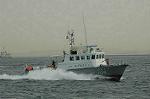 Dcim4715/DSC_4382