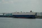 Dcim4725/DSC_5049