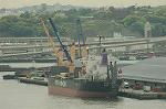 Dcim4726/DSC_5132