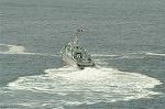 Dcim4731/DSC_3719