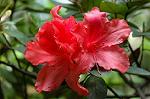 Dcim4736/DSC_5547