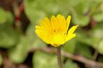 Dcim4736/DSC_5589