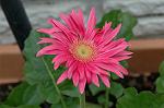 Dcim4738/DSC_5933