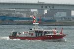 Dcim4739/DSC_5994