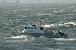 Dcim4743/DSC_6523