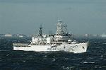 Dcim4743/DSC_6533