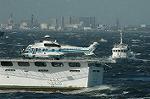 Dcim4743/DSC_6607
