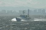 Dcim4745/DSC_6785