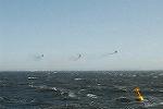 Dcim4754/DSC_4555