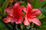 Dcim4756/DSC_7275