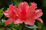 Dcim4756/DSC_7280