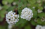 Dcim4756/DSC_7299