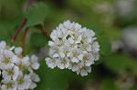 Dcim4756/DSC_7300