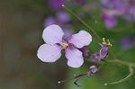Dcim4757/DSC_7390