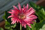 Dcim4757/DSC_7404