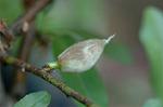 Dcim4757/DSC_7441