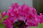 Dcim4757/DSC_7489