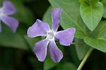Dcim4758/DSC_7534