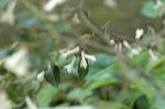 Dcim4758/DSC_7625