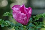 Dcim4758/DSC_7630