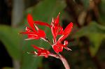 Dcim4759/DSC_7667