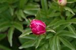 Dcim4759/DSC_7744